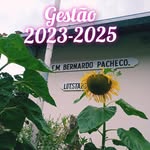 EM Bernardo Pacheco - @bernardo_pacheco2023 - Instagram