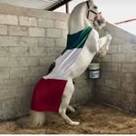 Luis Bernardo Pinzón - @berna_rdo1990 - Instagram