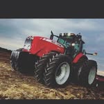 Bernardo Salinas - @bernardosalinas5796 - Instagram