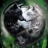 Bernardo Sanchez - @bernardo.sanchez493 - TikTok