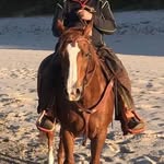Bernd Frank - @pferdebernd - Instagram