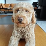Bernd Frank - @bernd_c._frank - Instagram