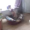 berndhuber240 - @berndhuber240 - TikTok
