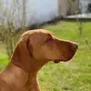 berndhuber49 - @berndhuber49 - TikTok