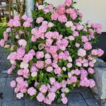 Bernd Jäger - @jaegerbernd1 - Instagram