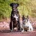 Bernd Peters - Facebook