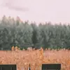 pierre.wan - @bernetta.diyqueen.18376 - TikTok