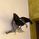 Bernhard Binder - @bernhard.binder77 - Instagram