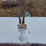 Bernhard Gruber - @gruber.bernhard1234 - Instagram