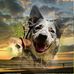 Bernhard Lutz - Facebook