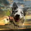 bernhardlutz2 - @bernhardlutz2 - TikTok