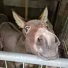 lutz - @lutz_bernhardt - TikTok