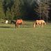 Bernhard Spiess - Facebook