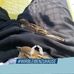Bernhard Spiess - Facebook