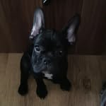 Bernhard Weiß - @bernie251166 - Instagram