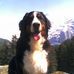 Bernhard Zimmermann - Facebook