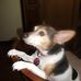 Bernice Allison - Facebook