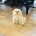 Bernie Allison - Facebook
