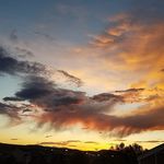 Bernice Anderson - @bernice.anderson - Instagram