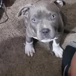 Bernice Anderson - @meh201015 - Instagram