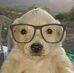Berenice Avila - Facebook