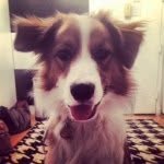 Bernie Bloom - @berniebloom - Instagram