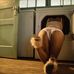 Bernice Brooks - Facebook