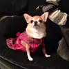 Bernice Bushey - @bernicebushey - TikTok