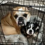 Bernice Carter & Sophia Rose - @bernice_and_sophia - Instagram