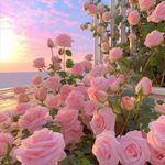 Bernice Cheng - @bernice.chengc - Instagram