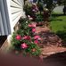 Bernice Clarke - Facebook