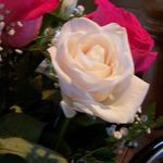 Bernice Cavanaugh Kevane Ferguson - @bernice.ferguson - Instagram