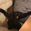 Bernice Ferguson - @berniceferguson_9622 - TikTok