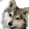garrisonbernice876 - @garrisonbernice87 - TikTok