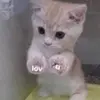 . - @krazycyberniki - TikTok