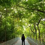 Bernice Law - @blovesnature - Instagram