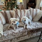 Bernie Leonard - @leonard.bernie - Instagram
