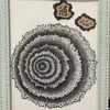 Bernice Ma - @bernicema8 - TikTok