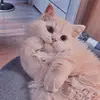 人 - @bernicema - TikTok