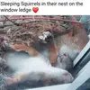 Bernice Macdonald - @bernice.macdonald1 - TikTok