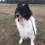 Bernice McCarthy - @bernice.mccarthy.7 - Instagram