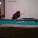 Bernie McCarthy - @poolshark13 - Instagram
