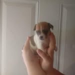 Bernice McDowell - @bernicemcdowell20 - Instagram
