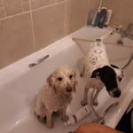 Bernie mcelwee - @mcelweebernie - Instagram