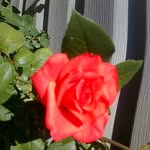 Bernice Mcfadden - @danber4786 - Instagram