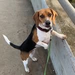 Bernie Spice McIntosh - @brother_bernie - Instagram