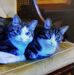 Bernice Mclean - Facebook