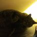 Bernice McPhail - Facebook