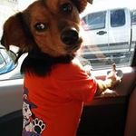 Bernice Meadows - @bernicemeadows - Instagram