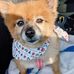 Bernice Metzger - Facebook